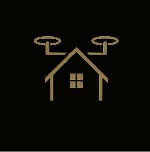 Altipur logo